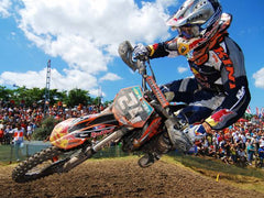 Maecenas id massa non posuere.